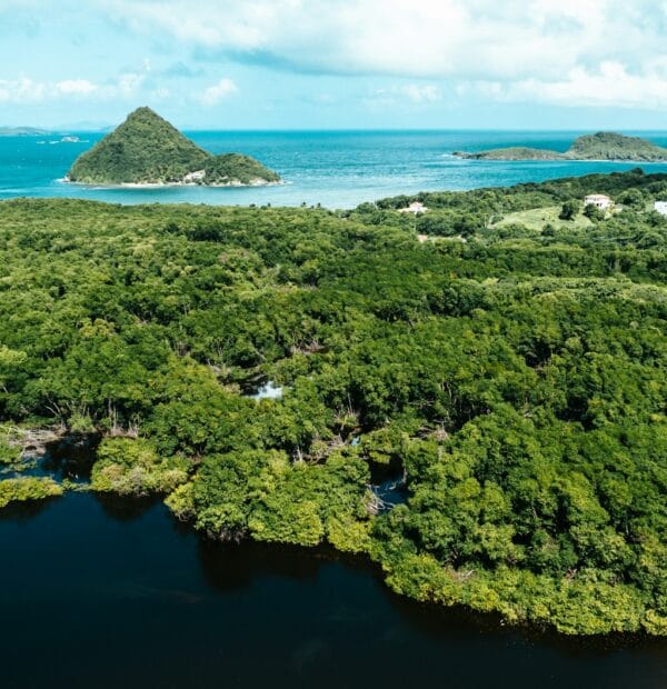 Explore Grenada's Natural Beauty